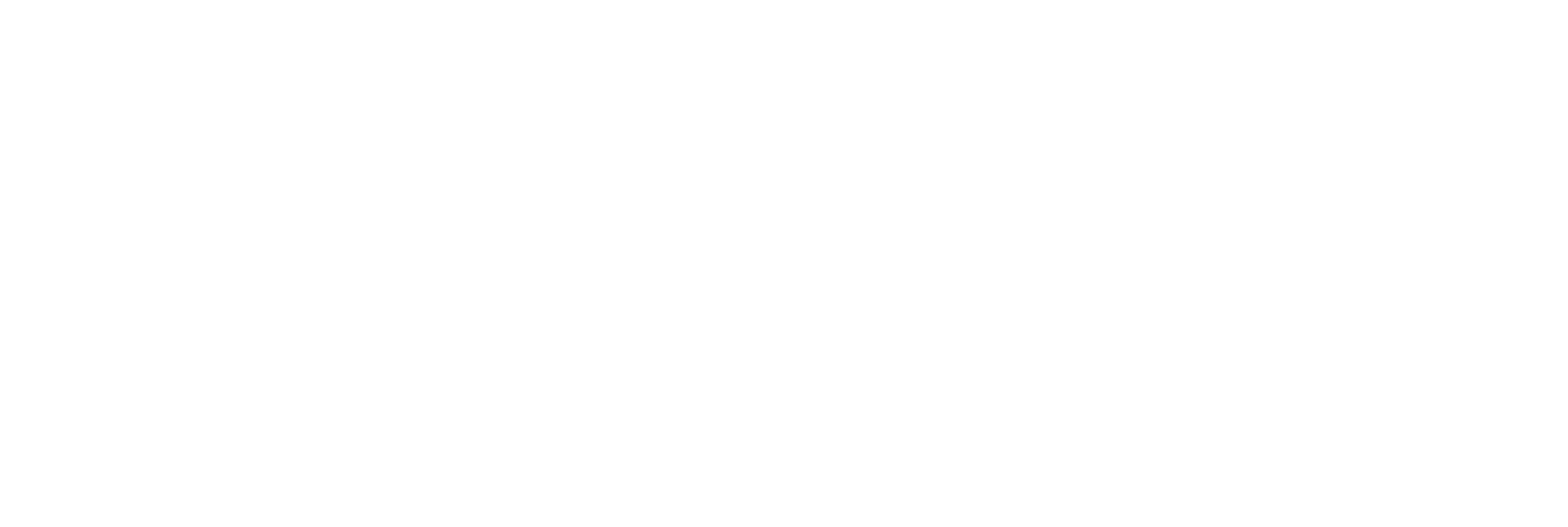 logo_white logo_white